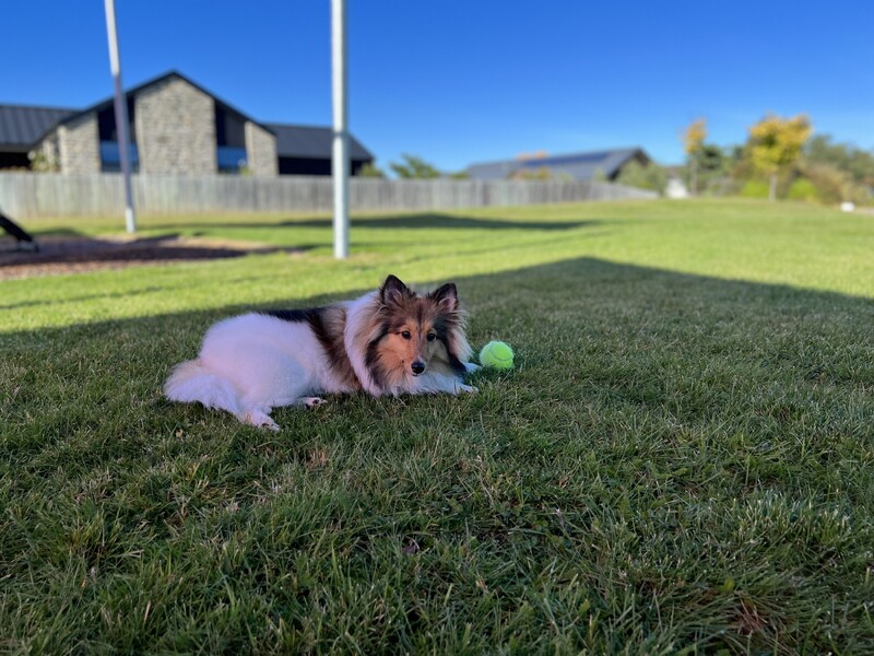 Our gyms are jam-packed with fitness options to suit your timetable.